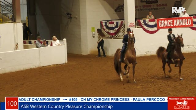 SC21 -  Class 105 - ASB Three Gaited ...