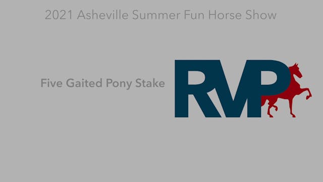ASF21 - Class 73 - Five Gaited Pony S...
