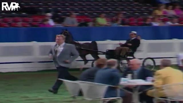 2004 World's Championship Horse Show ...