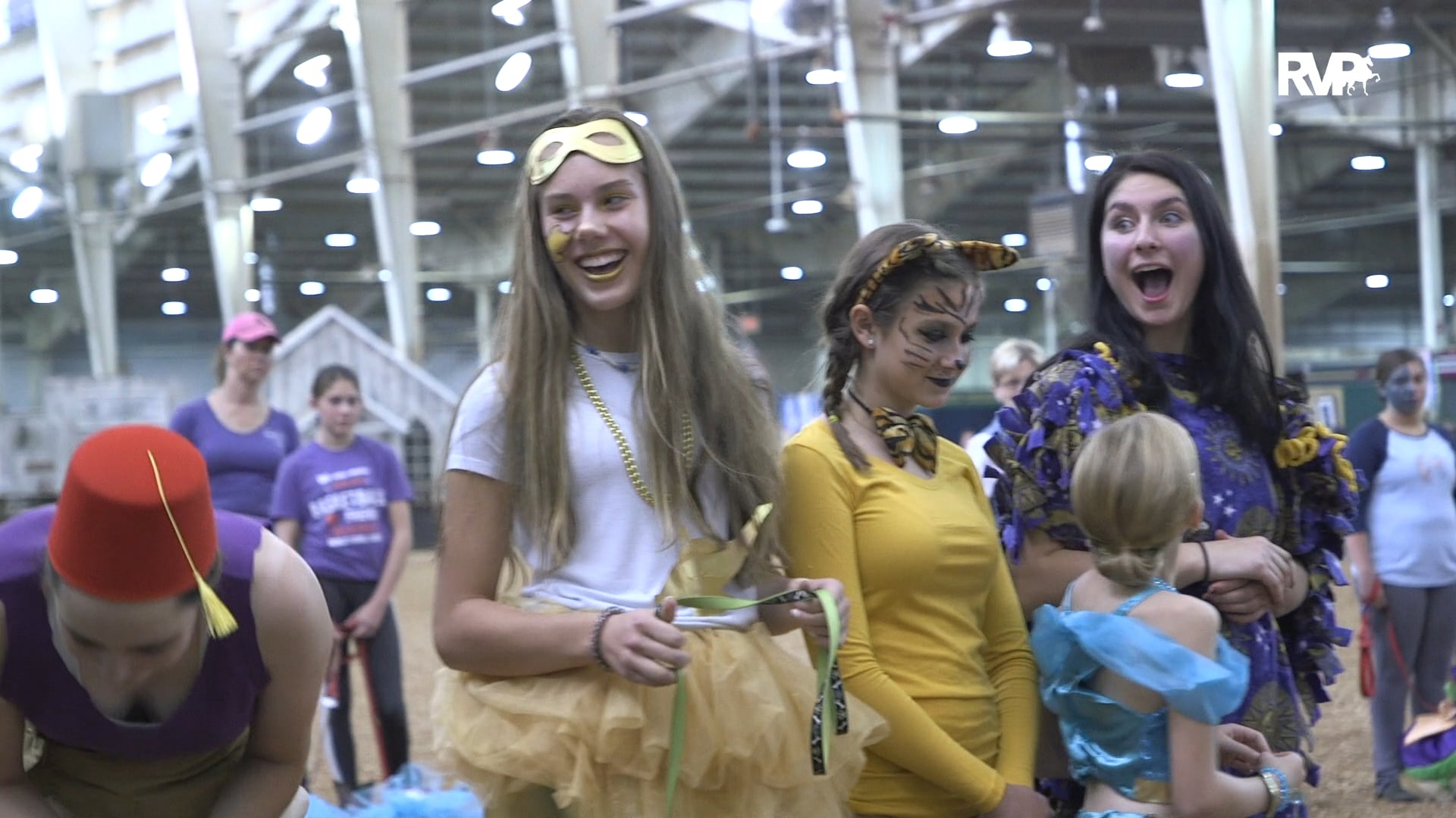 202 Stickhorses & Dog Show Pkg