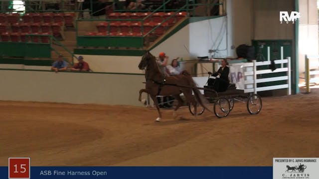 NCSC22 - Class 15 -  ASB Fine Harness...