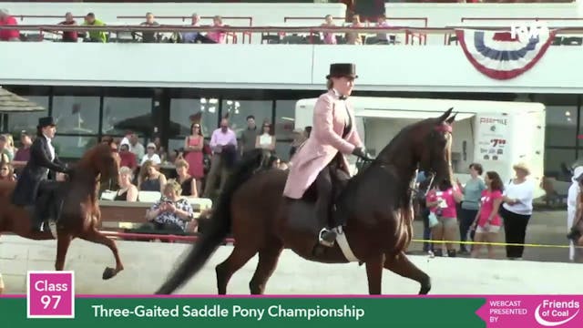 2015 LJL - Class 97 Three Gaited Sadd...