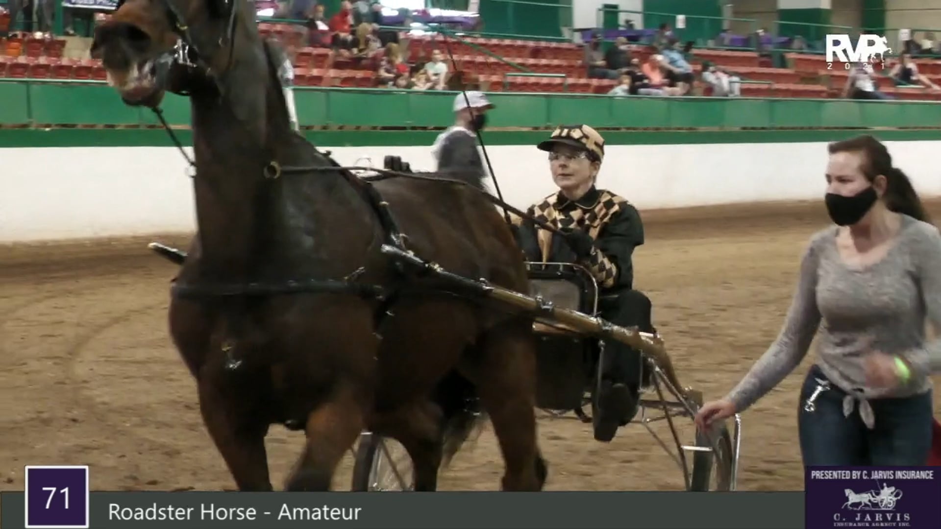 RSP21 - Class 71 - Roadster Horse Amateur