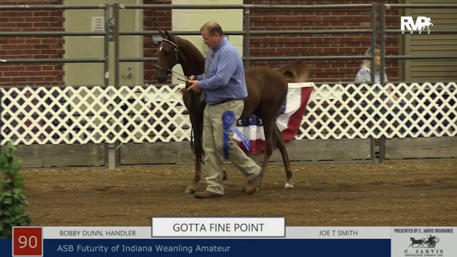 AAC22 - Class 90 -  ASB Futurity of I...