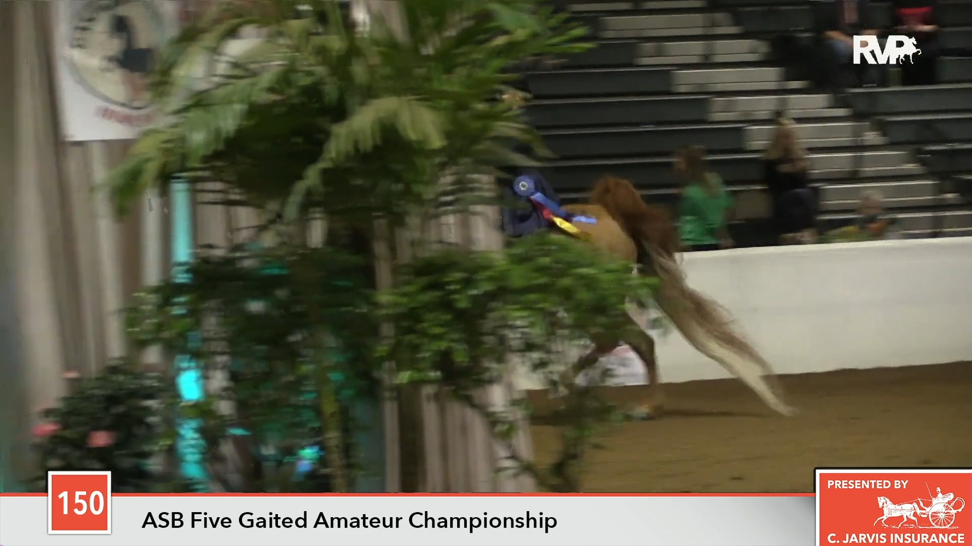 GASP18 - Class 150 - CH Memories of Cabo Championship