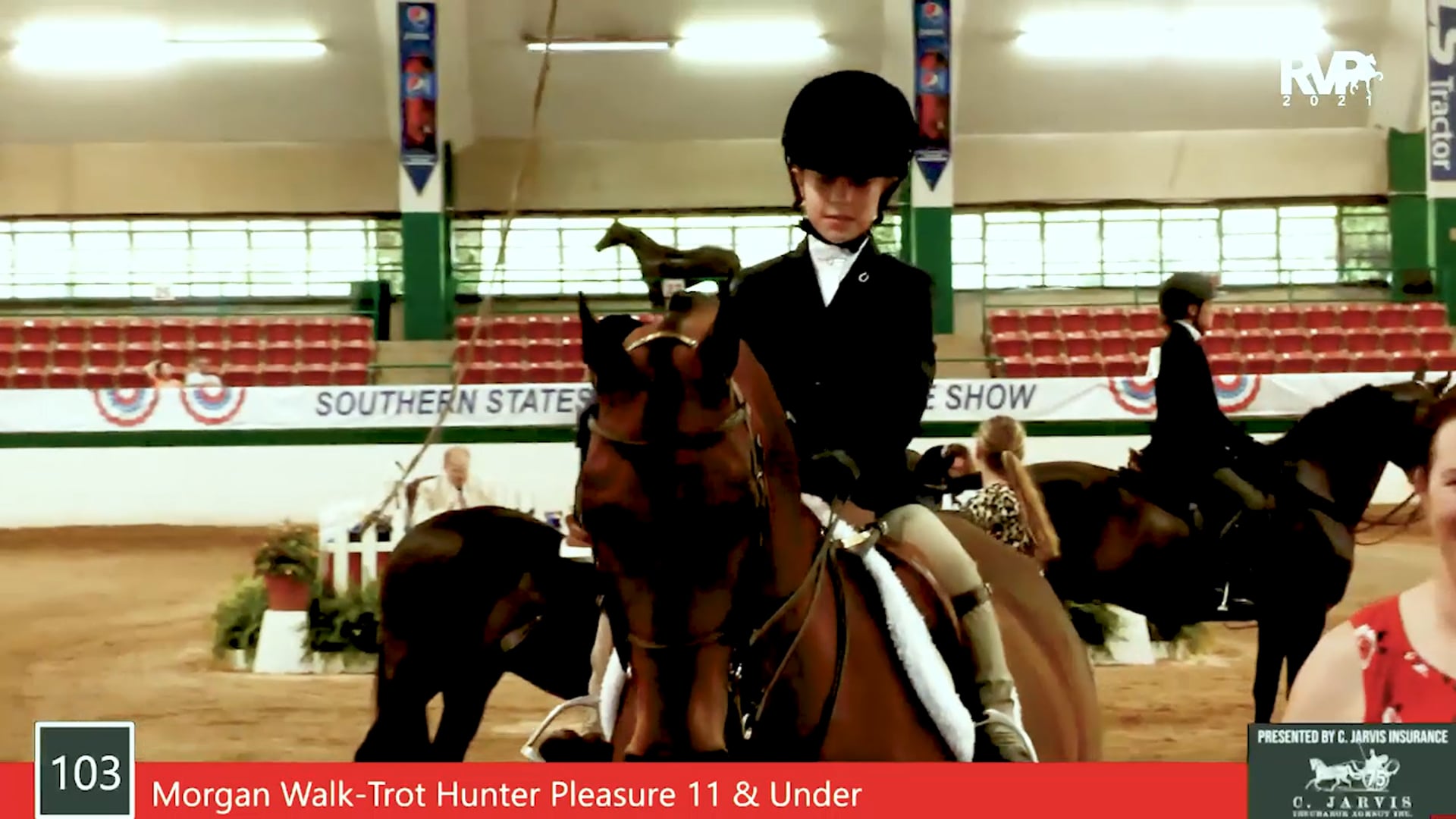 SS21 - Class 103 - Morgan Walk-Trot Hunter Pleasure, 11 & Under
