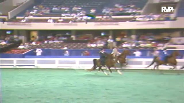 1992 WCHS Class 26 ASB Three Gaited P...