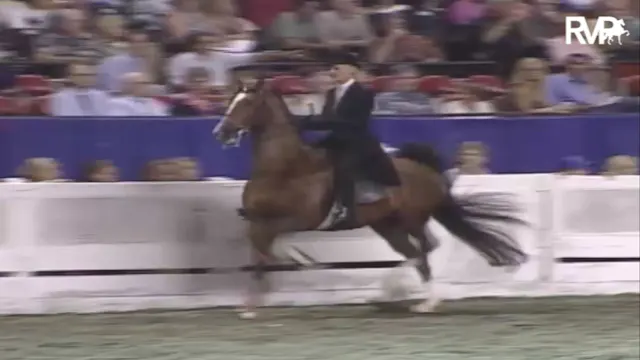 2007 WCHS Class 209 Junior Five Gaite...