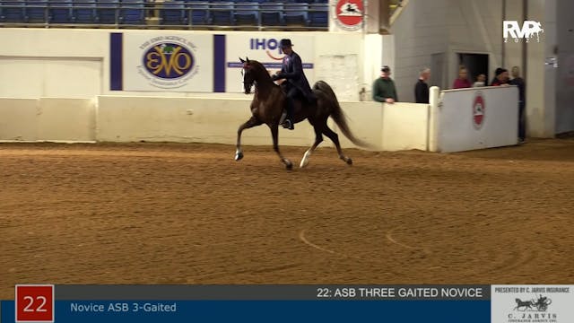 ASHAV21 - Class 22 - ASB Three Gaited...
