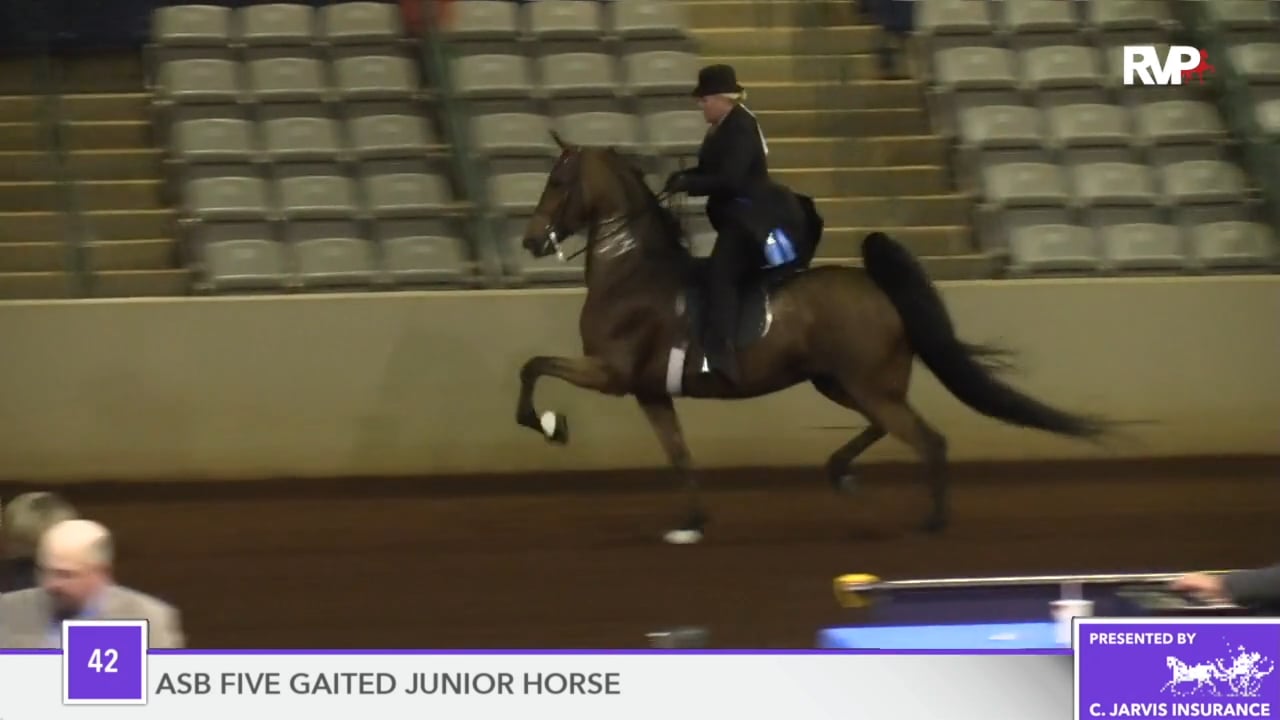 SSFF18 - Class 42 - Cocoa And A Kiss