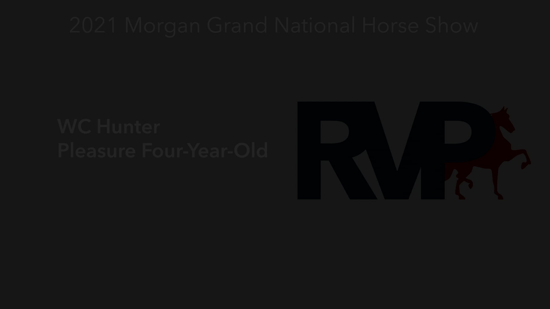 MGN21 - Class 166 - WC Hunter Pleasure Four-Year-Old 