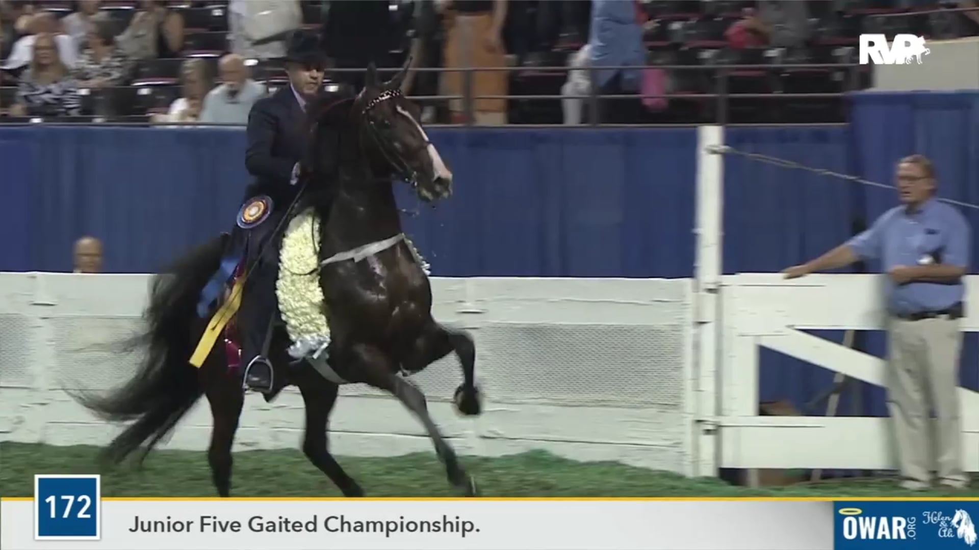 2020 World's Championship Horse Show - Thursday Evening - Aug 27