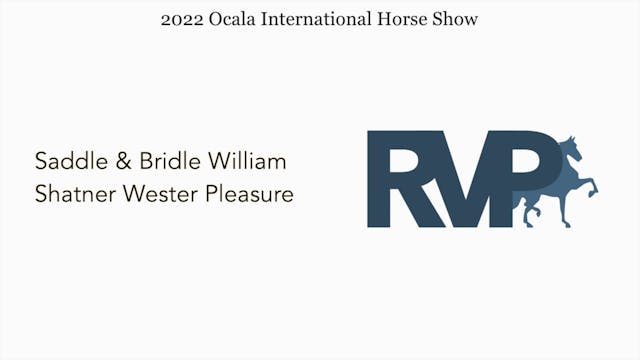 OIHS22 - Class 74 - Saddle & Bridle W...
