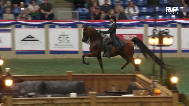 AN25 - Class 2110 - Arabian Country E...