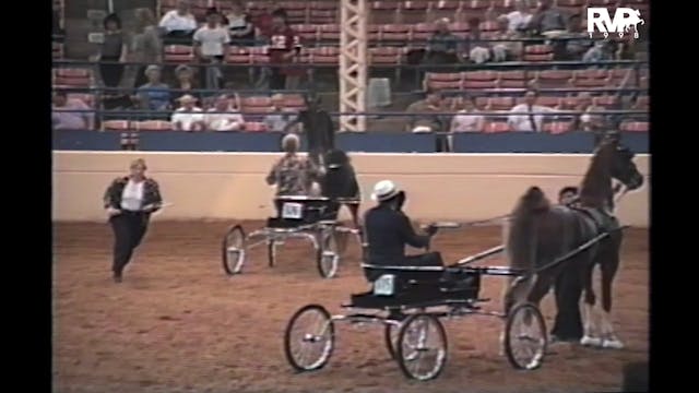 1998 MW - Class 80 Fine Harness Junio...