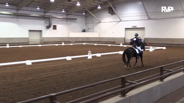 MGN19 - Class 523 - GN Dressage Train...