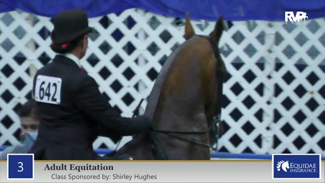 2020 AR - Class 3 Adult Equitation