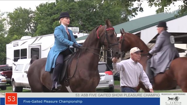 SHS22 - Class 53 -  Five Gaited Pleas...