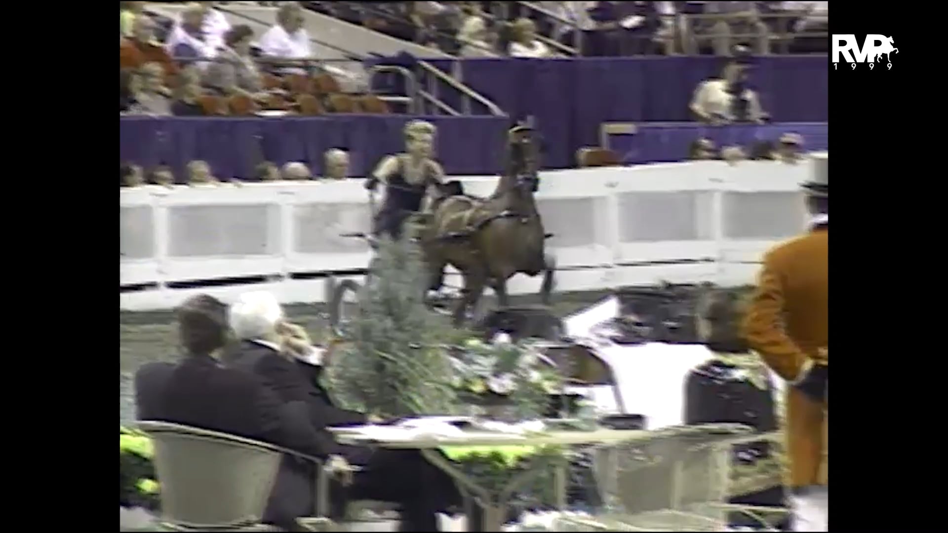 1999 WCHS - Class 99 Amateur Ladies Hackney Pony Stake