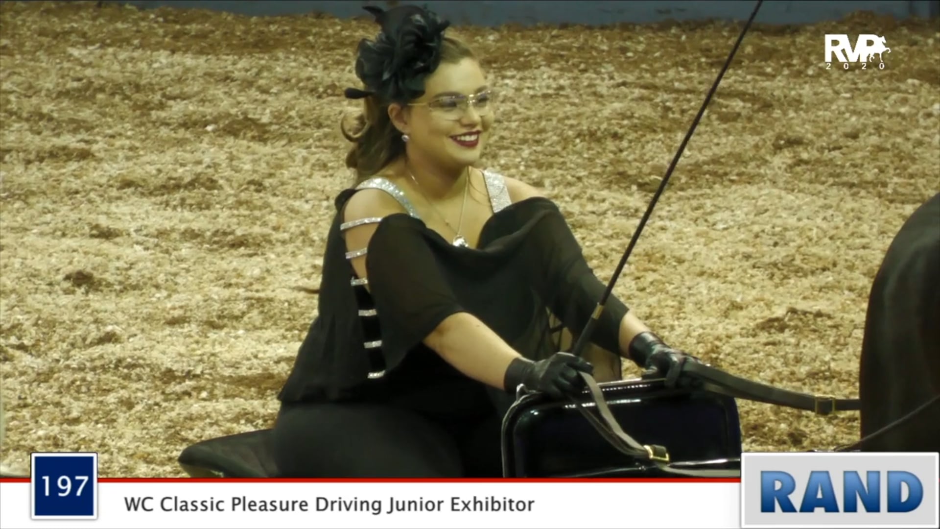 2020 MGN - Class 197 WC Classic Pleasure Driving Junior Exhibitor