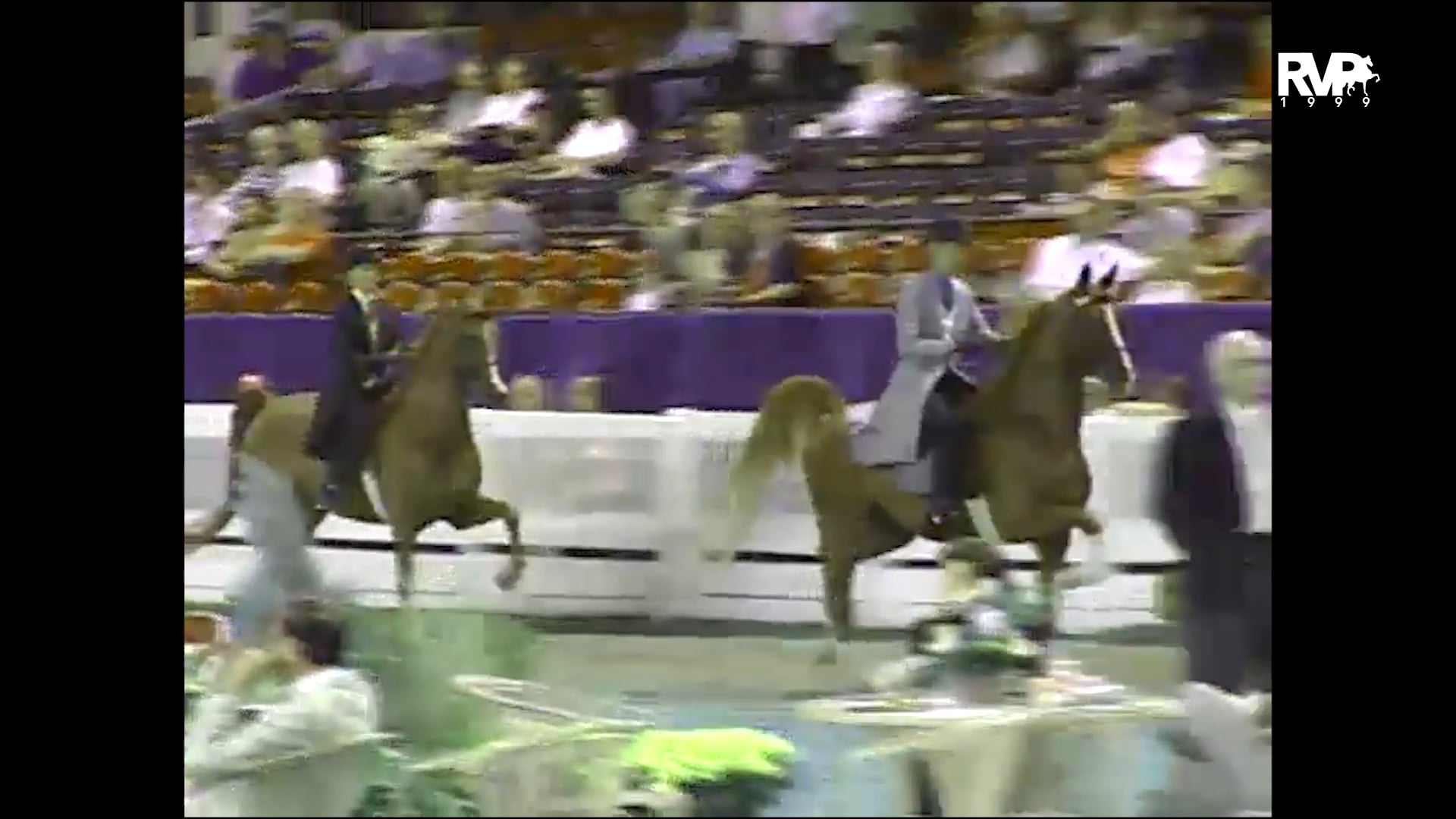 1999 WCHS - Class 121 ASB Three Gaited Country Pleasure Adult 30-40 Years Old