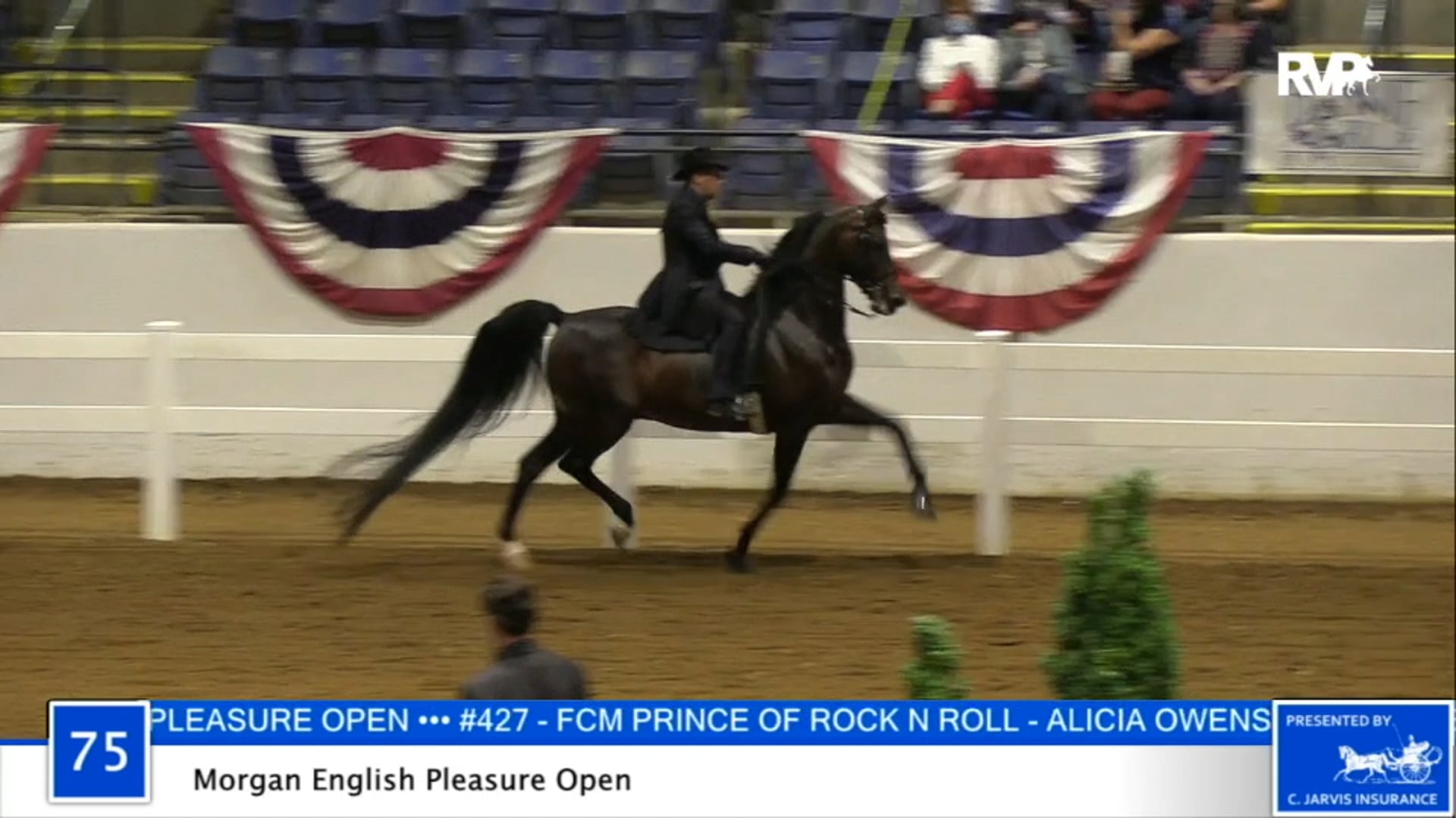 2020 BB - Class 75 Morgan English Pleasure Open