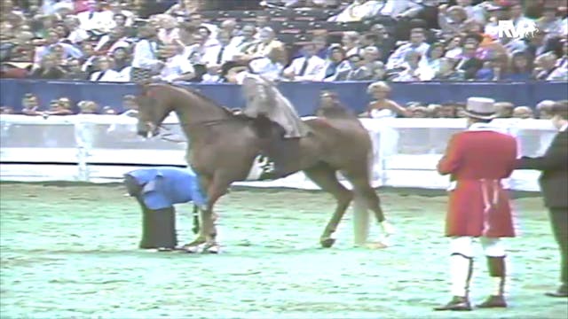 1991 WCHS Class 146 Junior Exhibitor ...