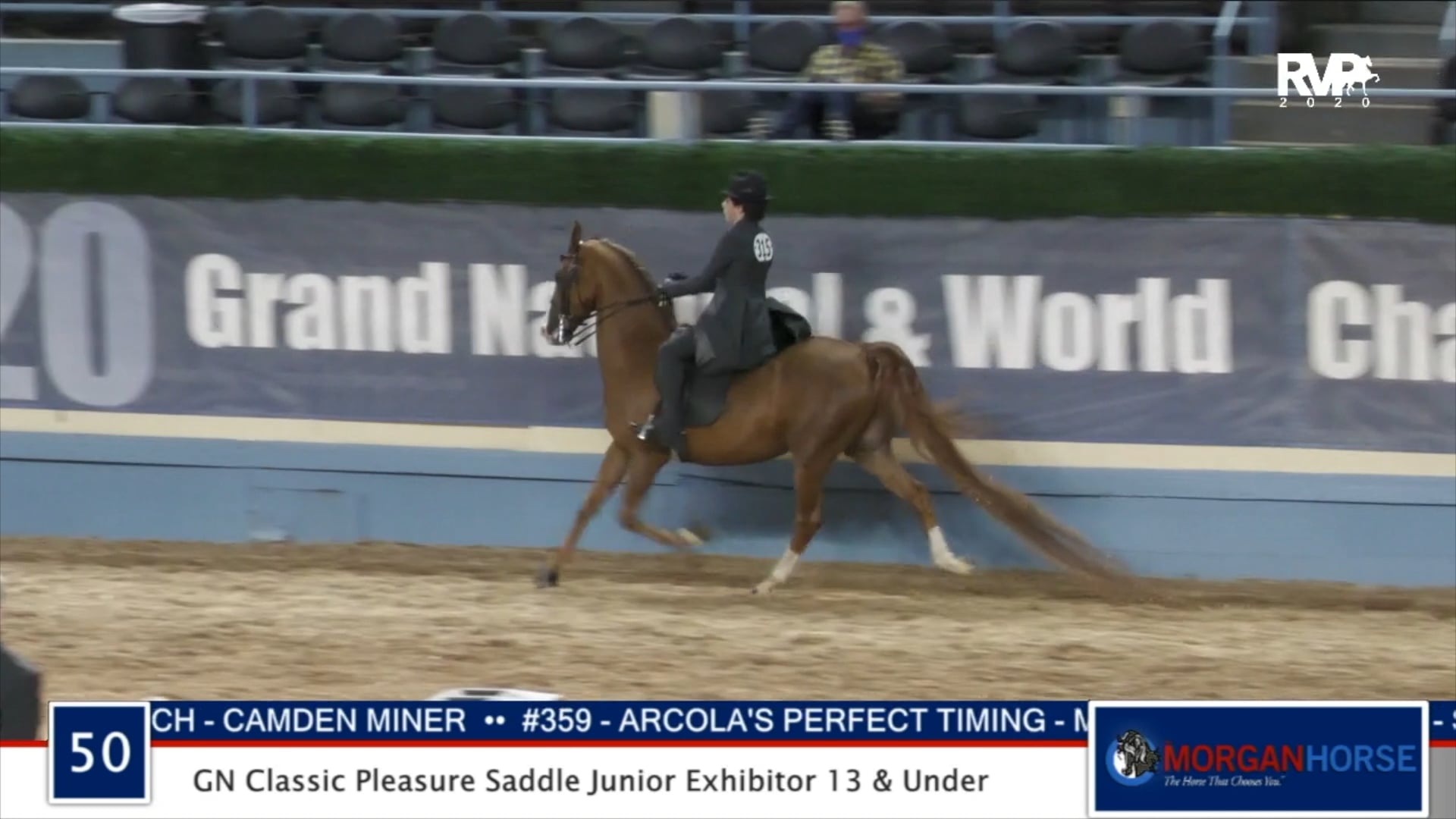 2020 MGN - Class 50 GN Classic Pleasure Saddle Junior Exhibitor 13 & Under