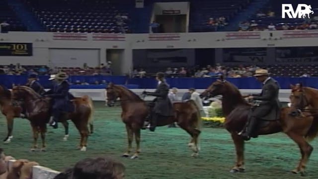 2004 World's Championship Horse Show ...