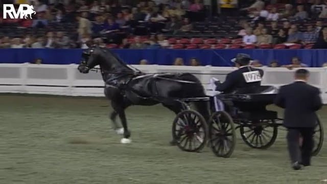 2004 World's Championship Horse Show ...