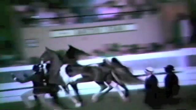 1983 World's Championship Horse Show ...