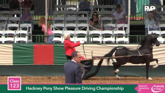2015 LJL - Class 123 Hackney Pony Sho...