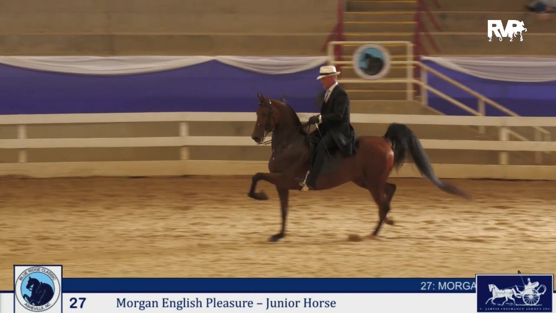 BRC25 - Class 27 - Morgan English Pleasure Junior Horse 