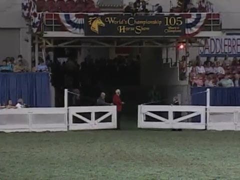 2008 WCHS Class 199 Junior Exhibitor ...