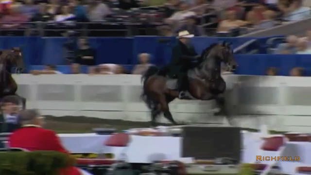 2002 WCHS Class 178 Adult Five Gaited...