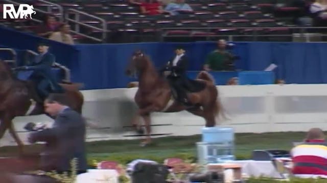 2004 World's Championship Horse Show ...