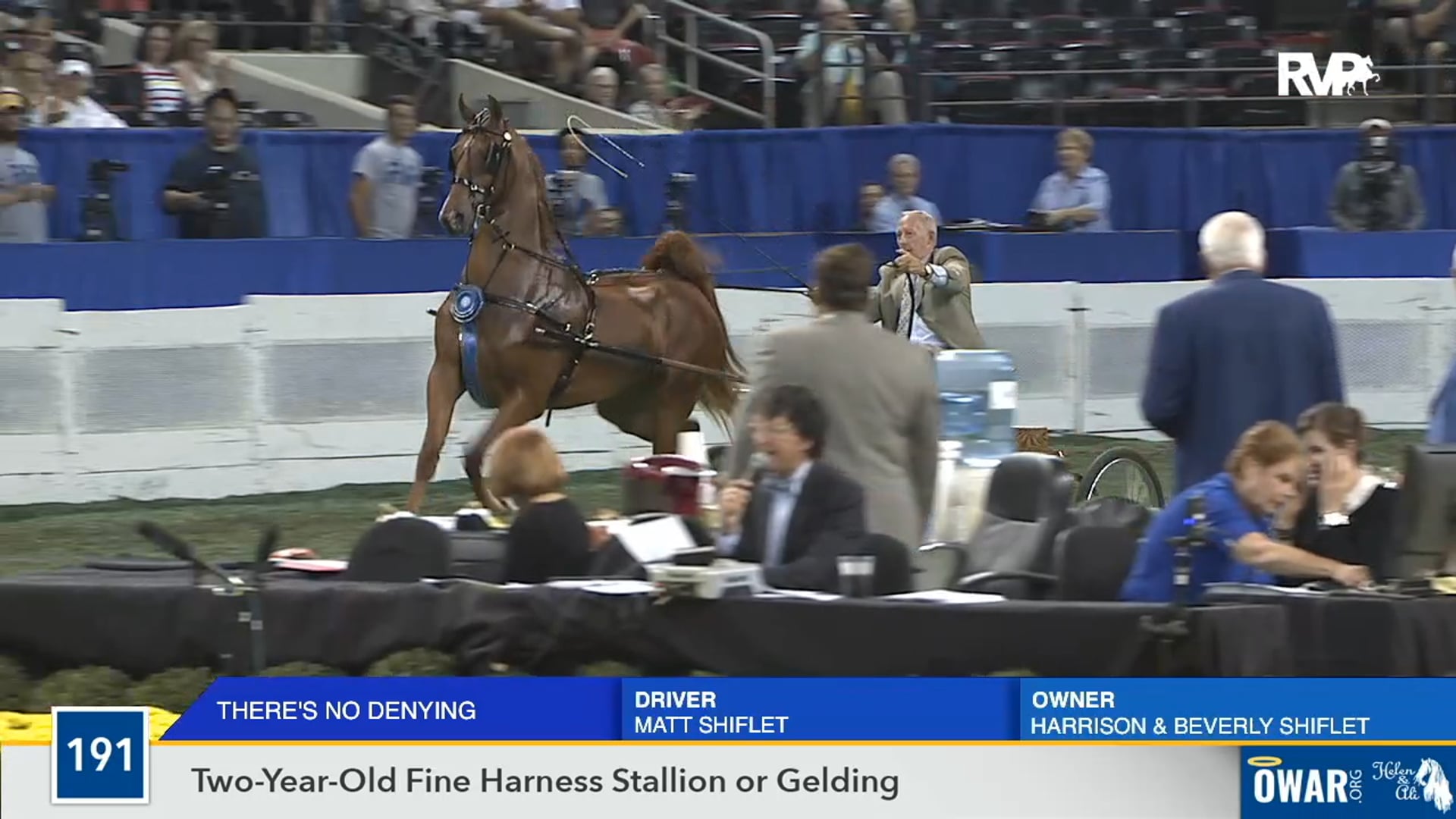 2019 WCHS - Class 191 Two Year Old Fine Harness Stallion or Gelding 