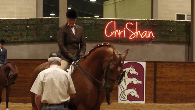 AN25 - Class 734a - HA-AA Hunter Plea...