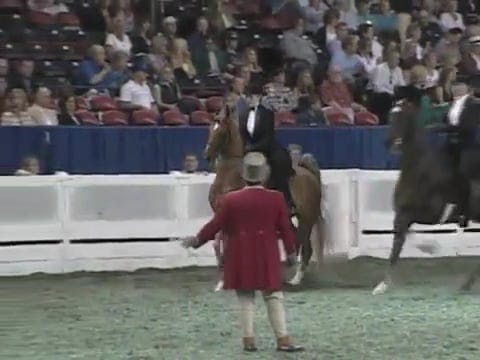 2008 WCHS Class 142 Junior Exhibitor ...