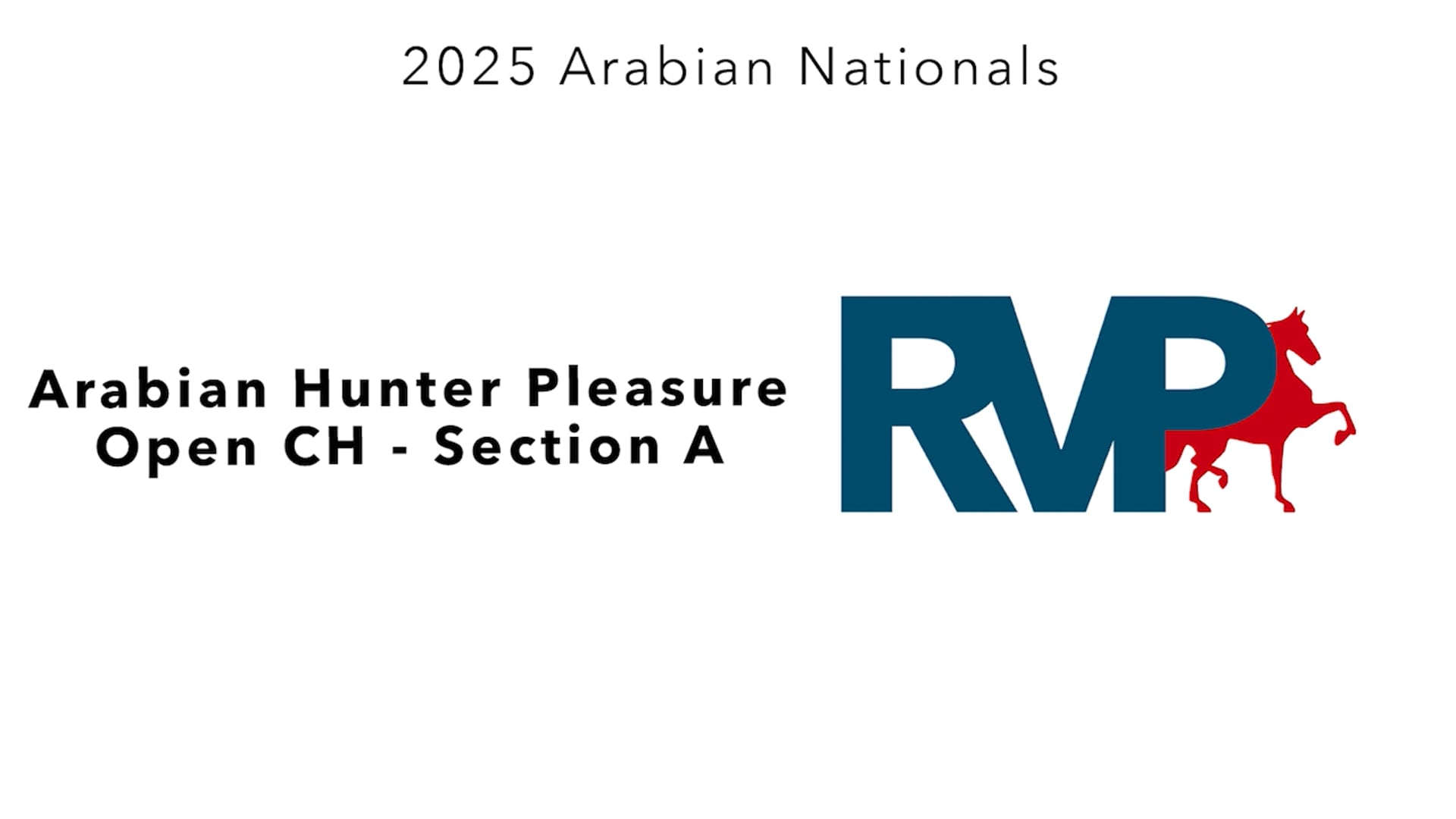 AN25 - Class 291a - Arabian Hunter Pleasure Open CH - Section A