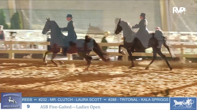 CTSC24 - Class 9 -  ASB Five Gaited L...