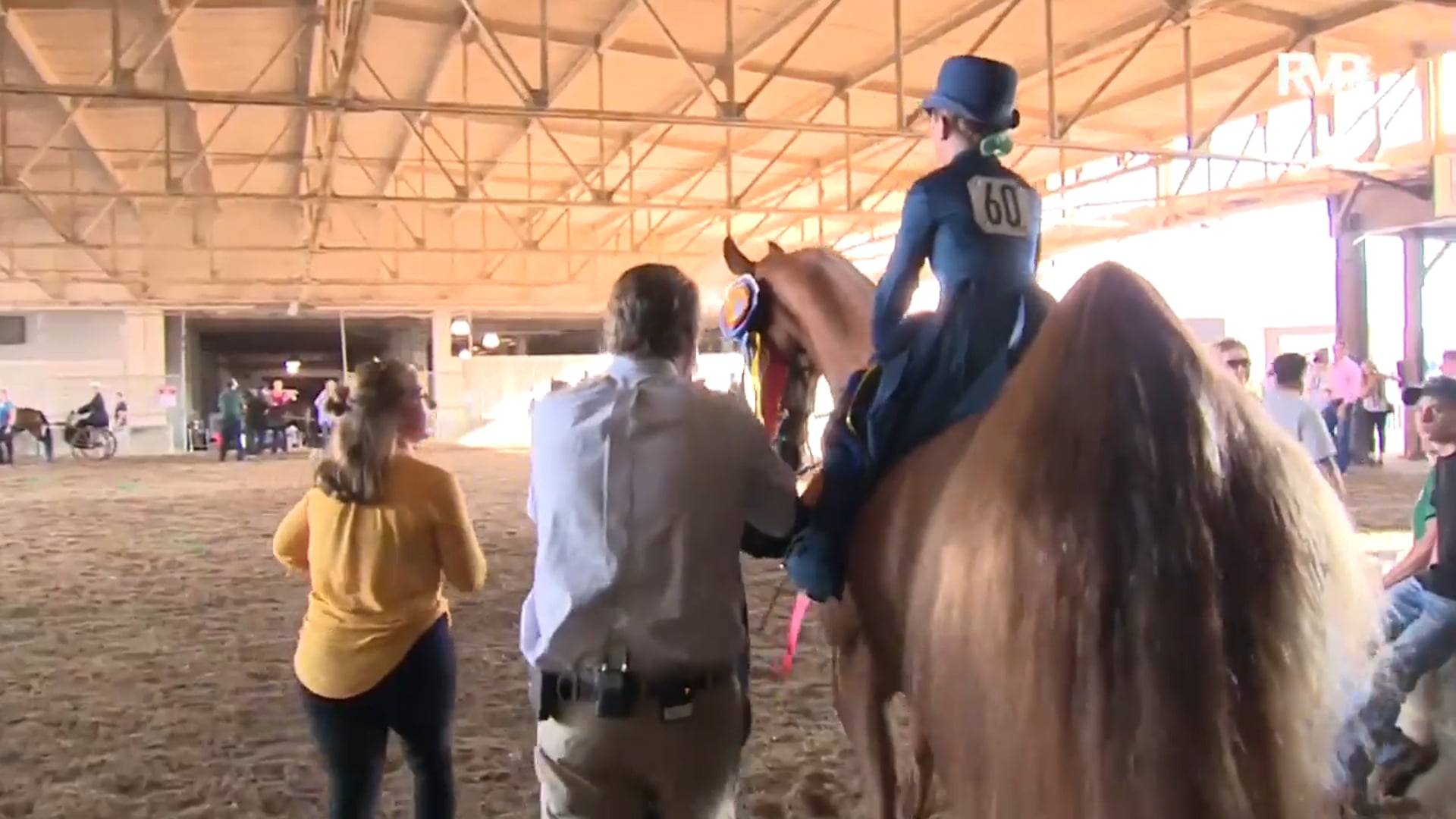 WCHS16 - Wildbriar's Thunder and Lightning - Championship 