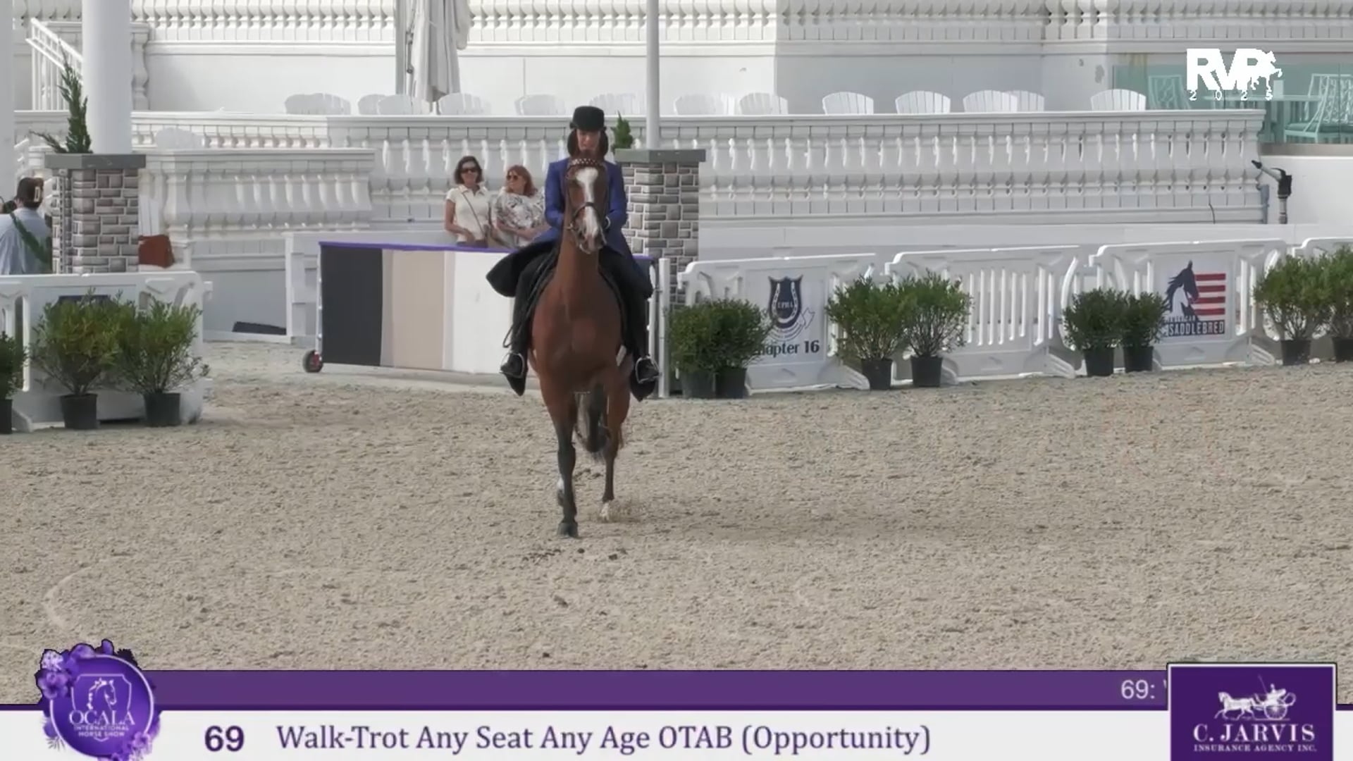 OI25 - Class 69 - Walk:Trot Any Seat Any Age Any OTAB