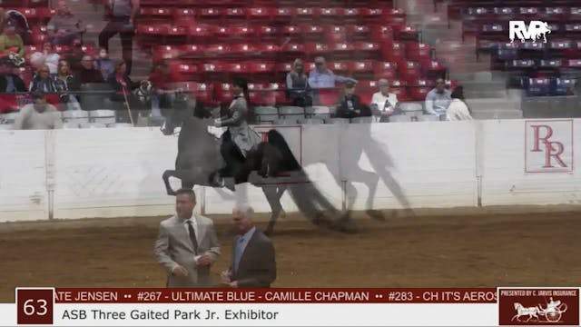 RR23 - Class 63 - ASB Three Gaited Pa...