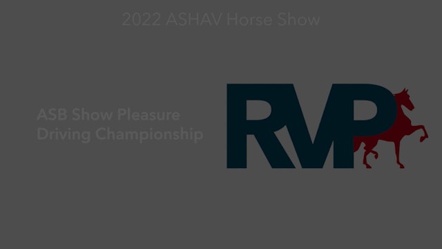 ASHAV22 - Class 95 - ASB Show Pleasure Driving Championship