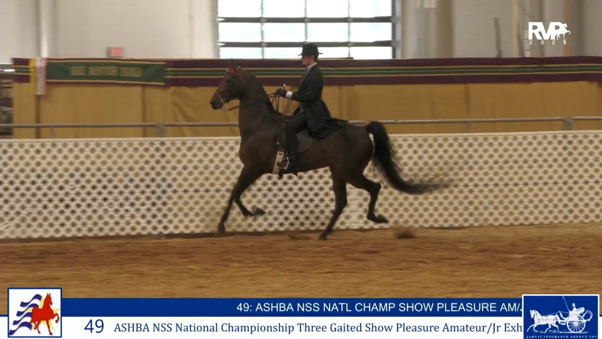 AAC25 - Class 49 - NSS National Championship Three Gaited Show Pleasure Amateur-Jr Exhibitor
