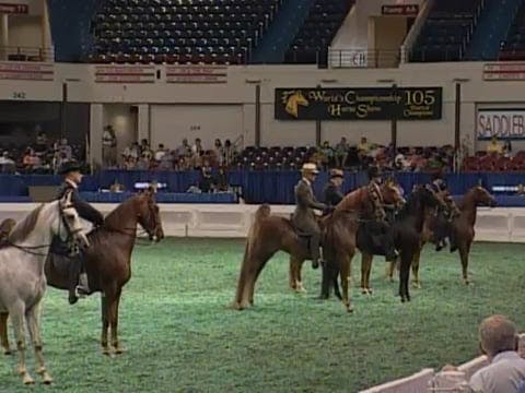 2008 WCHS Class 26 Park Mares