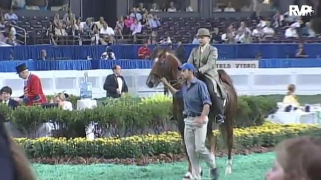 2010 World's Championship Horse Show ...
