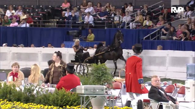 2012 WCHS - Class 62 Ladies Fine Harness