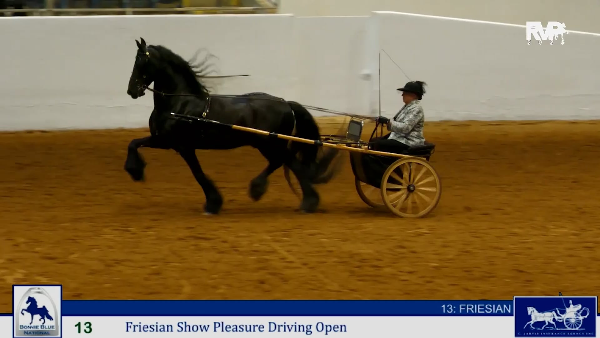 BB25 - Class 13 - Friesian Show Pleasure Driving Open